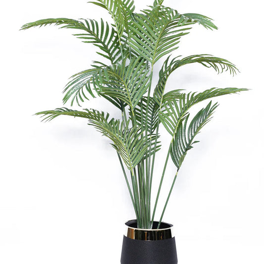Areca Palm with Gold Strip Planter