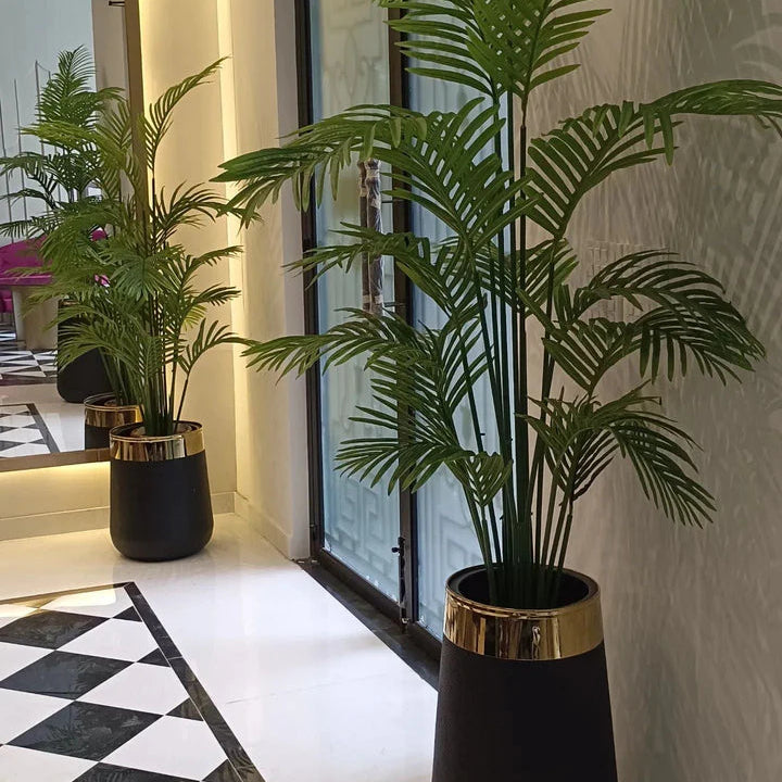 Areca Palm with Gold Strip Planter
