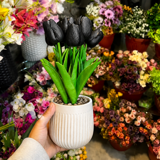 Black 10 Piece Tulip Bunch