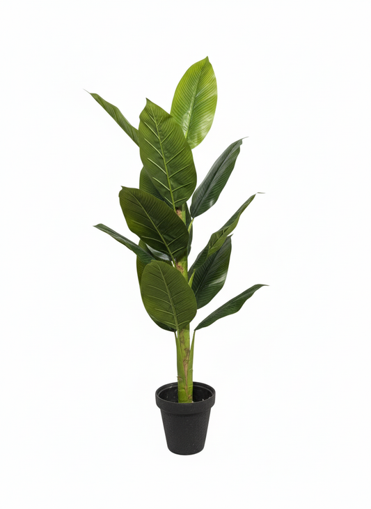 Banana Leaf Floor Plant