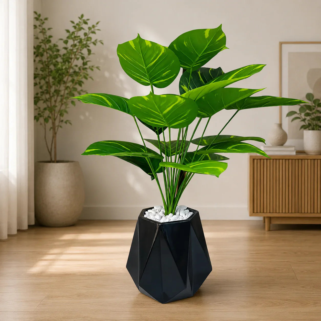 Small Plants