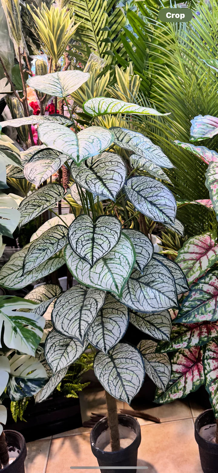Artificial Plant Collection | 9 Varieties