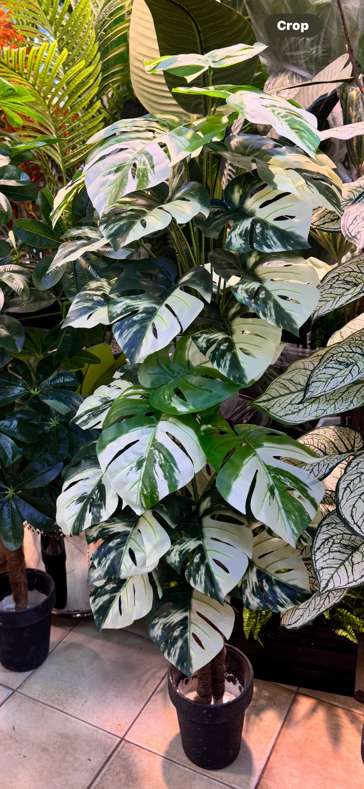 Artificial Plant Collection | 9 Varieties