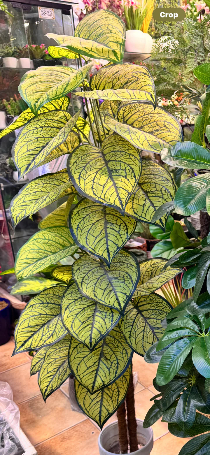 Artificial Plant Collection | 9 Varieties
