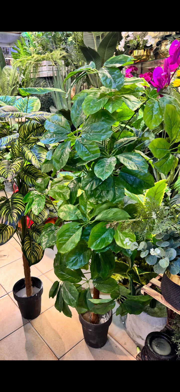 Artificial Plant Collection | 9 Varieties