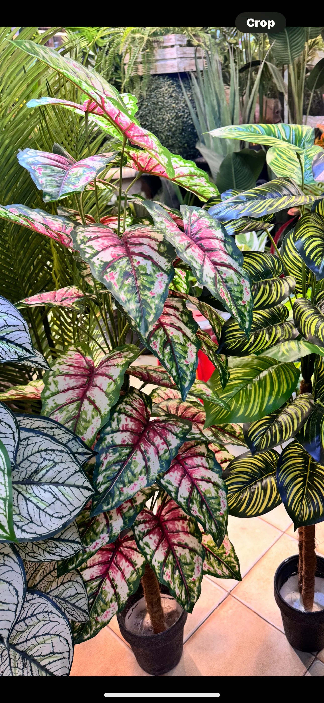 Artificial Plant Collection | 9 Varieties