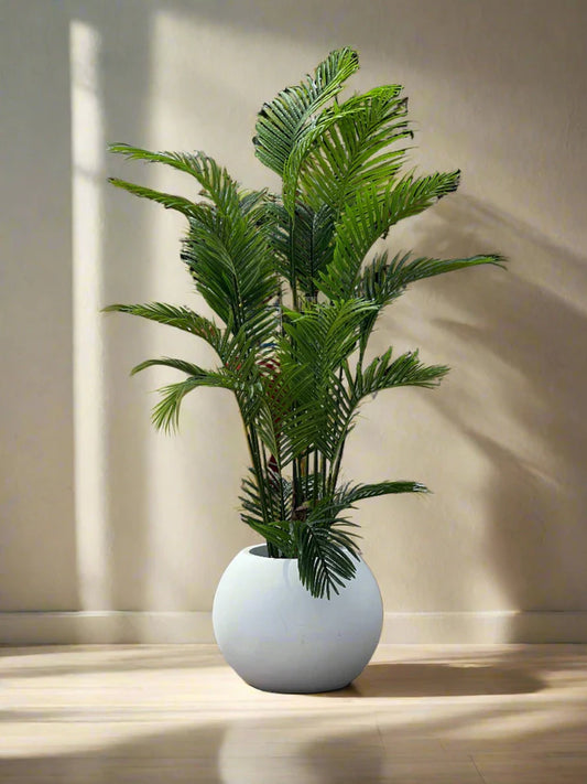 Areca Palm Plant with Sphere Planter