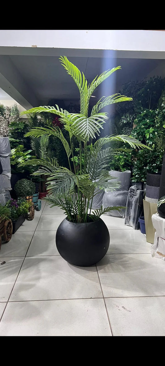 Areca Palm Plant with Sphere Planter