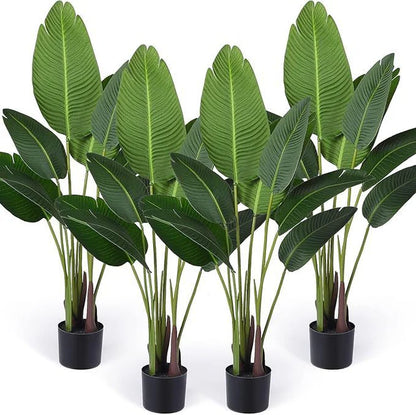 Banana Palm (Plant Only)