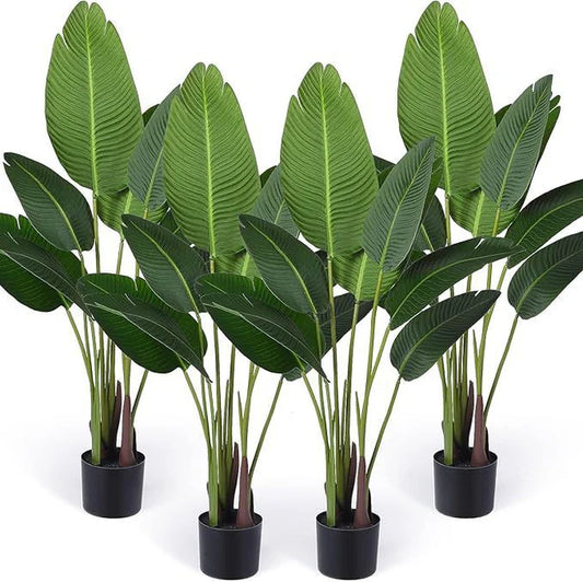 Banana Palm (Plant Only)