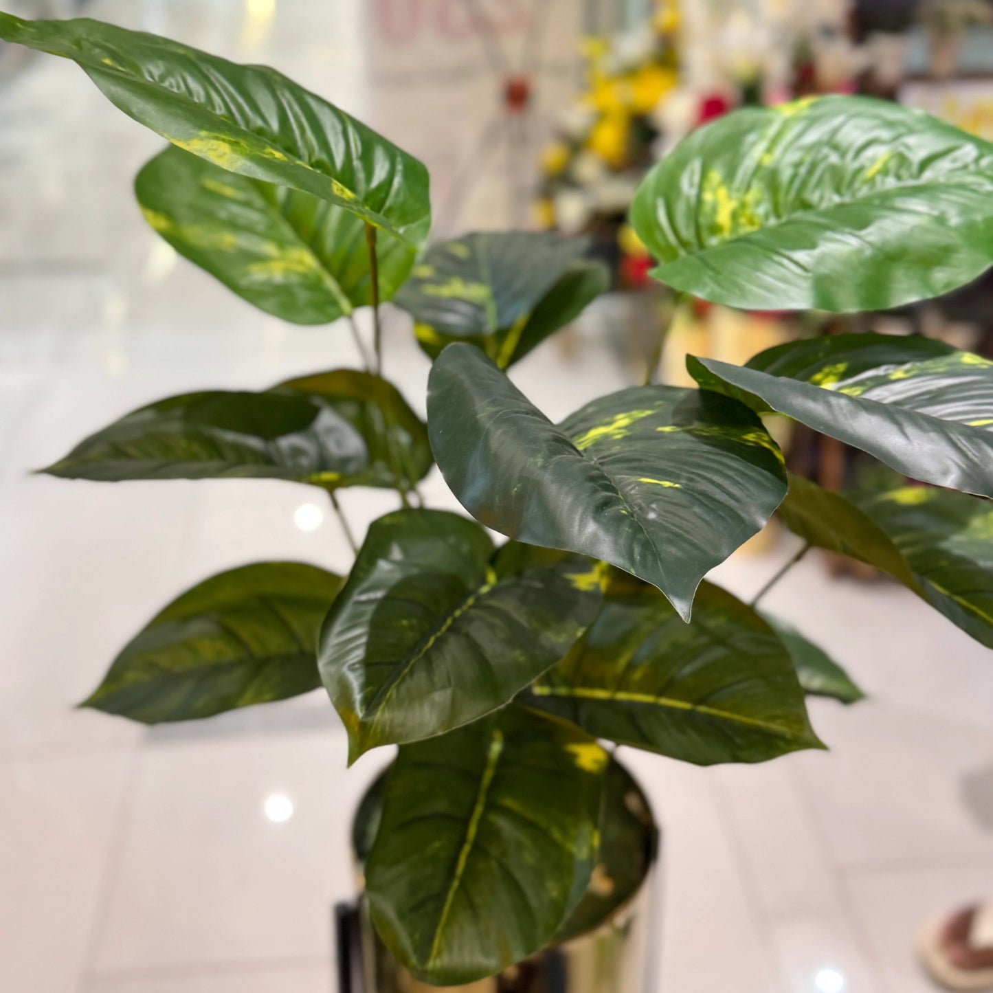 Plants With Golden Stand