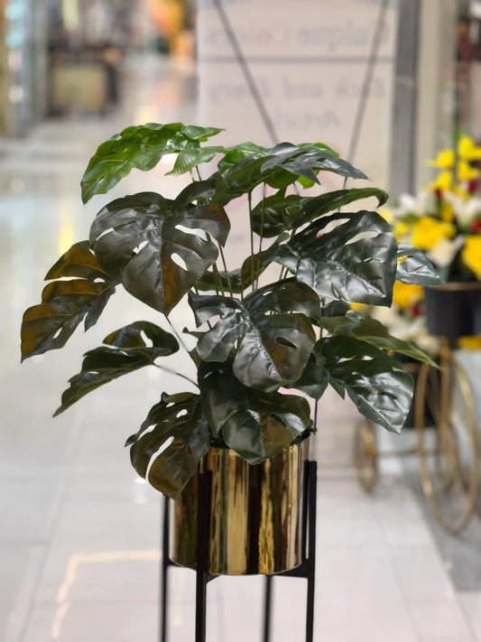 Plants With Golden Stand