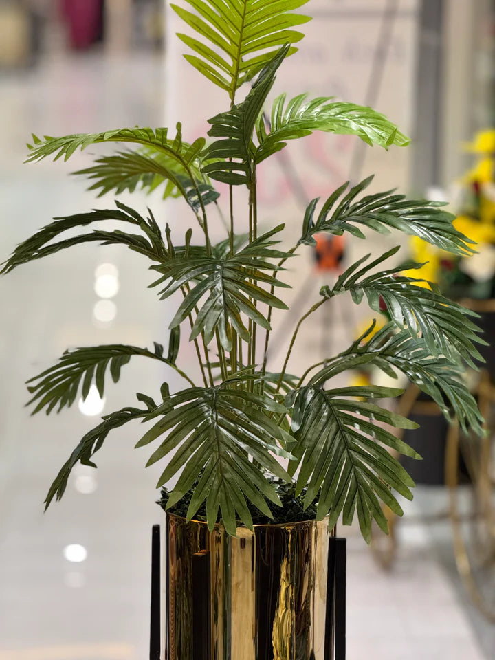Plants With Golden Stand
