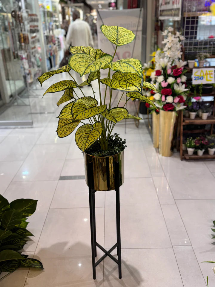 Plants With Golden Stand