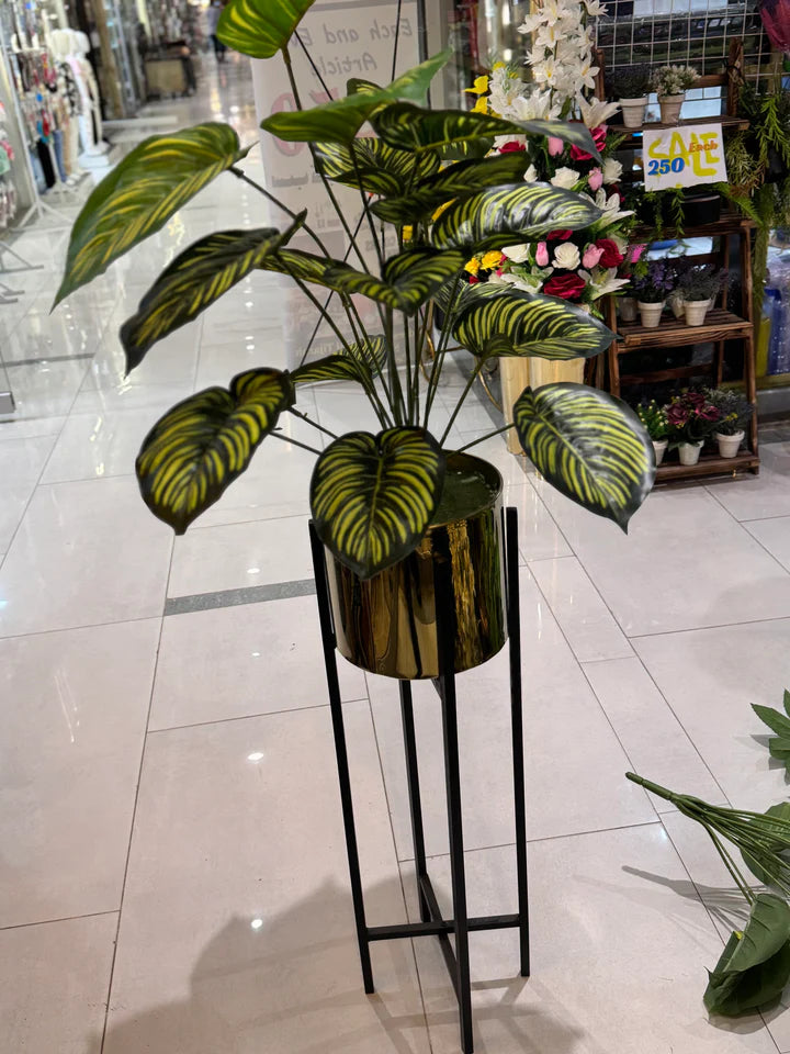 Plants With Golden Stand
