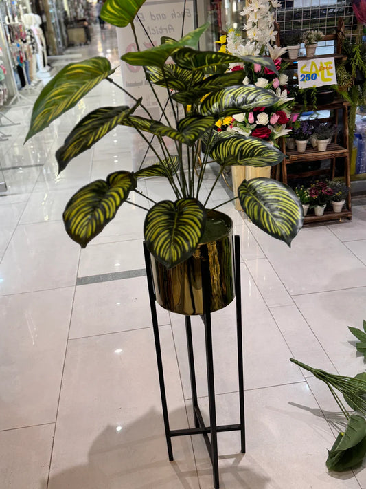 Plants With Golden Stand