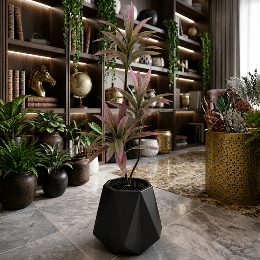 Dracaena Plant in Matte Diamond Planter