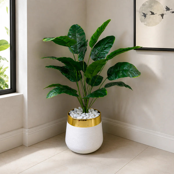 18 Leaf Banana Palm Planter Set 3 feet