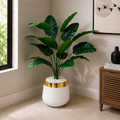 18 Leaf Banana Palm Planter Set 3 feet