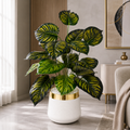 18 Leaf Zebra Planter Set 3 feet