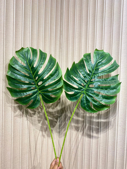 Elite monstera Leaf