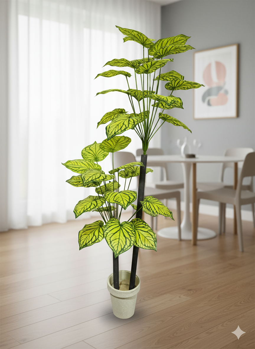 Variegated Leaf Floor Plant