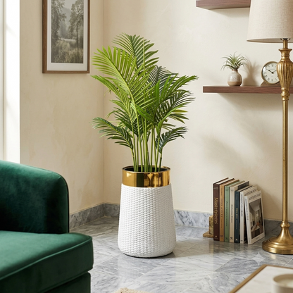 Areca Palm Tree with Premium Textured Planter