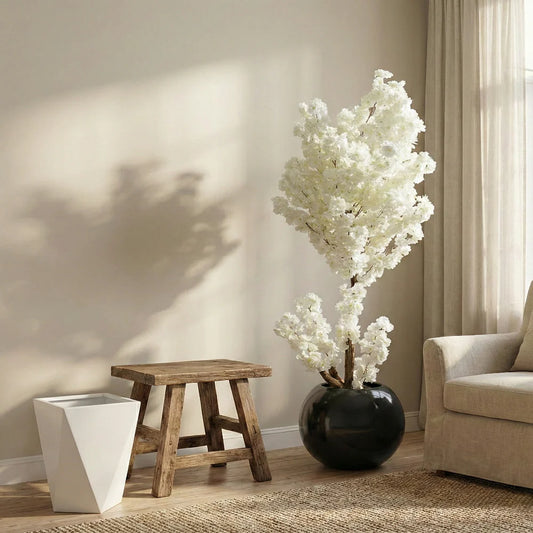 White Cherry Blossom Plant With Fiber Round Pot (6.5 Feet Approx)