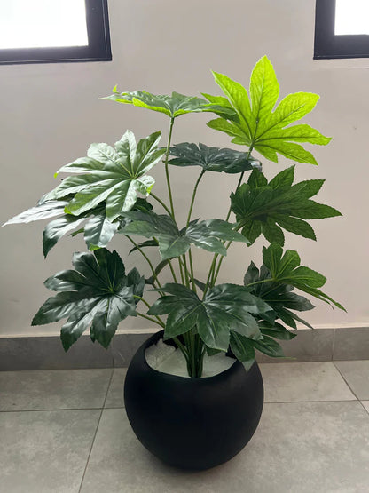 Green plants with Round planter