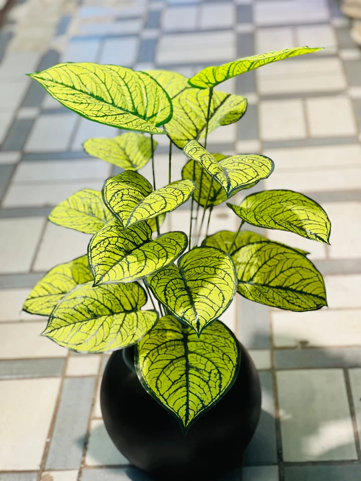 Green plants with Round planter