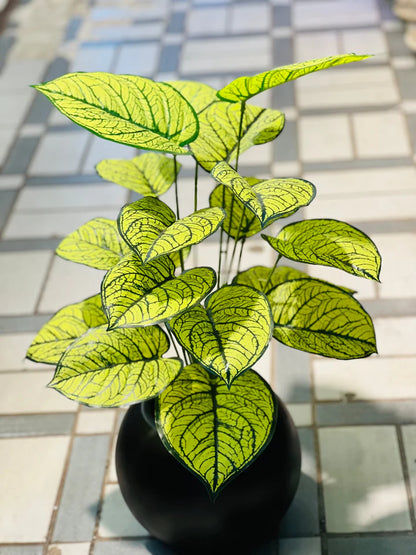 Green plants with Round planter