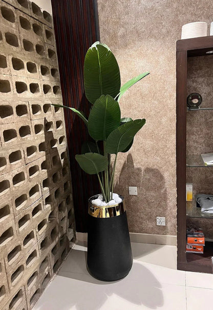Banana Palm Pant