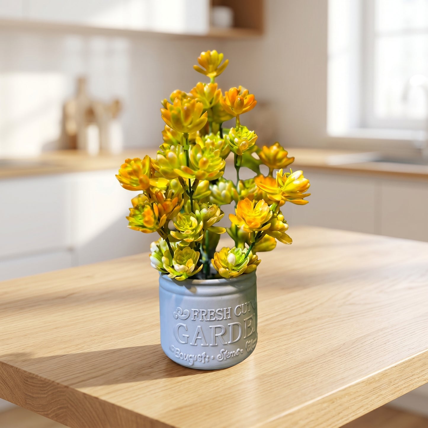 Succulent Plant with Yellow-orange Tips