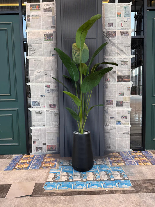 Tall Banana Leaf Plant