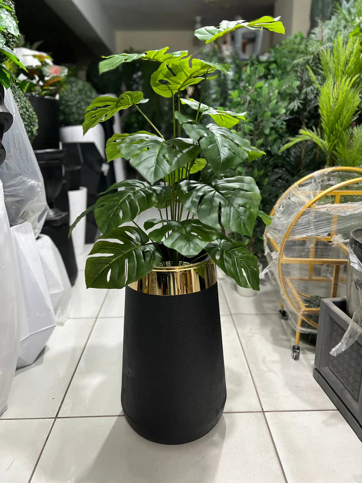 Monstera Plant and Planter