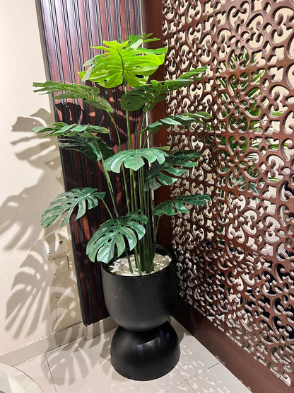 Monstera Plant with Black Round Ceramic Pot