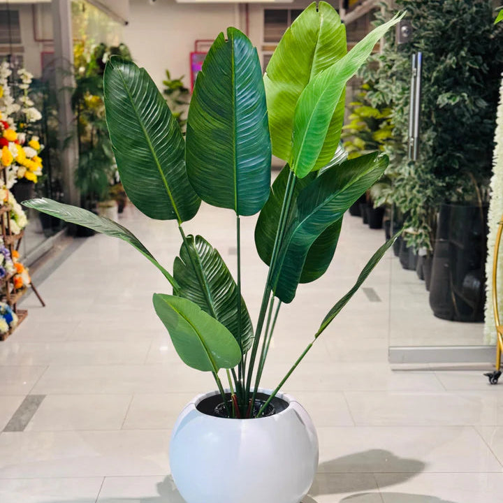 Rubber Banana With Round Planter