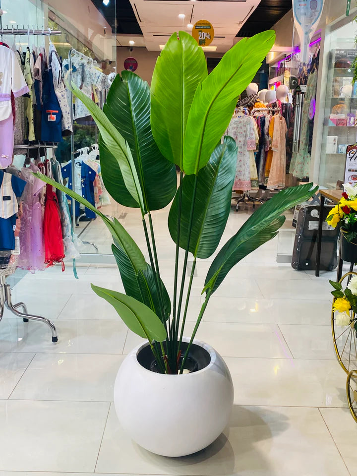 Rubber Banana With Round Planter