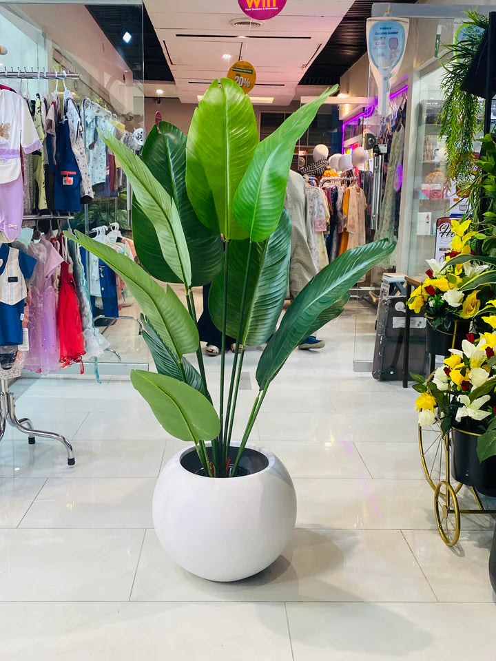 Rubber Banana With Round Planter