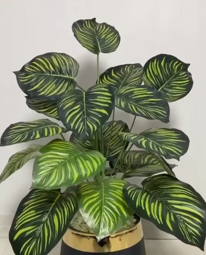18 Leaf Zebra Planter Set 3 feet