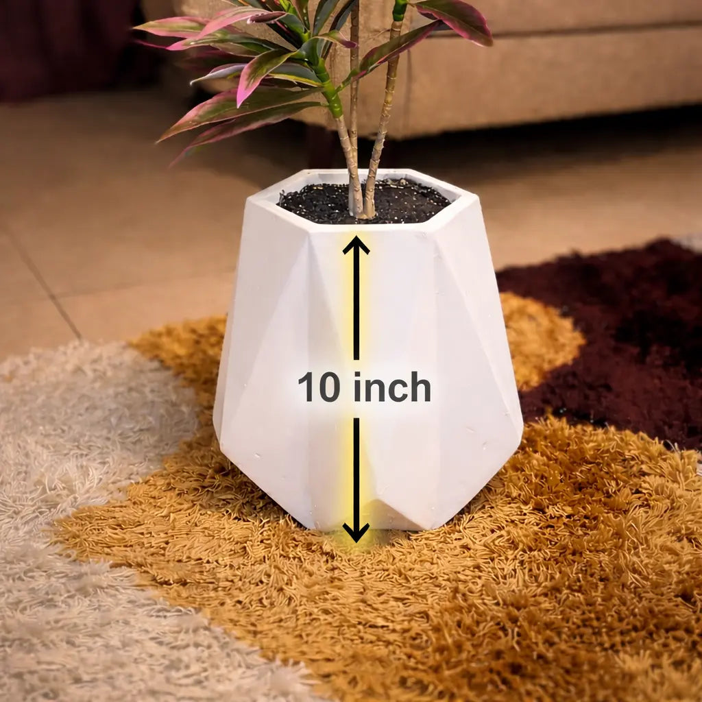 Dracaena Plant in Matte Diamond Planter
