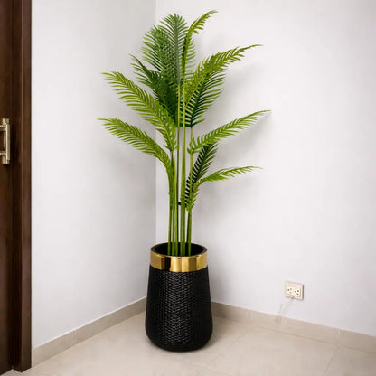 Areca Palm Tree with Premium Textured Planter