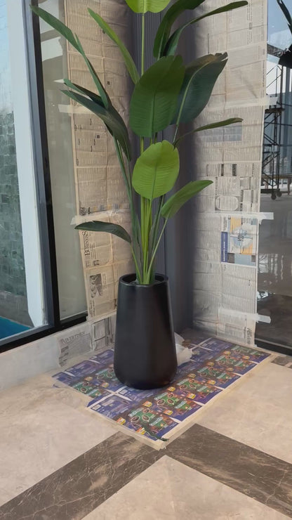 Tall Banana Leaf Plant