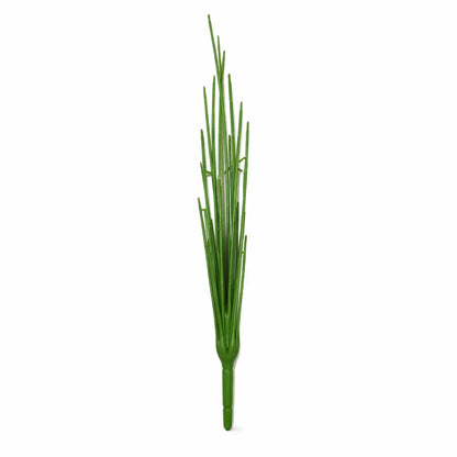 18-leaf Money Plant with Stem
