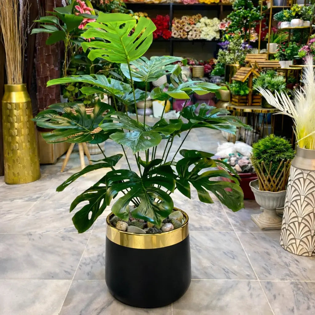 Monstera Artificial Plant with Grp Planter
